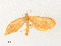  ( - CBG-A36838-C04)  @11 [ ] CreativeCommons - Attribution Share - Alike (2024) CBG Photography Group Centre for Biodiversity Genomics