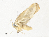  ( - CBG-A36838-G10)  @11 [ ] CreativeCommons - Attribution Share - Alike (2024) CBG Photography Group Centre for Biodiversity Genomics