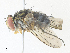  ( - CBG-A36840-B10)  @11 [ ] CreativeCommons - Attribution Share - Alike (2024) CBG Photography Group Centre for Biodiversity Genomics