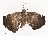  ( - CBG-A40145-C02)  @11 [ ] CreativeCommons - Attribution Share - Alike (2024) CBG Photography Group Centre for Biodiversity Genomics