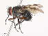  ( - CBG-A40146-B01)  @11 [ ] CreativeCommons - Attribution Share - Alike (2024) CBG Photography Group Centre for Biodiversity Genomics