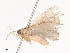  ( - CBG-A40146-C10)  @11 [ ] CreativeCommons - Attribution Share - Alike (2024) CBG Photography Group Centre for Biodiversity Genomics