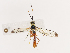  ( - CBG-A40147-C01)  @11 [ ] CreativeCommons - Attribution Share - Alike (2024) CBG Photography Group Centre for Biodiversity Genomics