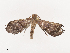  ( - CBG-A40147-D08)  @11 [ ] CreativeCommons - Attribution Share - Alike (2024) CBG Photography Group Centre for Biodiversity Genomics