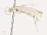  ( - CBG-A40147-F06)  @11 [ ] CreativeCommons - Attribution Share - Alike (2024) CBG Photography Group Centre for Biodiversity Genomics