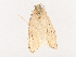  ( - CBG-A40148-F07)  @11 [ ] CreativeCommons - Attribution Share - Alike (2024) CBG Photography Group Centre for Biodiversity Genomics