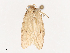  ( - CBG-A40148-G08)  @11 [ ] CreativeCommons - Attribution Share - Alike (2024) CBG Photography Group Centre for Biodiversity Genomics
