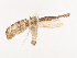  ( - CBG-A40148-G11)  @11 [ ] CreativeCommons - Attribution Share - Alike (2024) CBG Photography Group Centre for Biodiversity Genomics