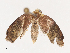  ( - CBG-A40148-H01)  @11 [ ] CreativeCommons - Attribution Share - Alike (2024) CBG Photography Group Centre for Biodiversity Genomics