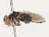  ( - CBG-A40148-H10)  @11 [ ] CreativeCommons - Attribution Share - Alike (2024) CBG Photography Group Centre for Biodiversity Genomics