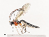  ( - CBG-A40209-A03)  @11 [ ] CreativeCommons - Attribution Share - Alike (2024) CBG Photography Group Centre for Biodiversity Genomics