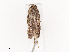  ( - CBG-A40209-A06)  @11 [ ] CreativeCommons - Attribution Share - Alike (2024) CBG Photography Group Centre for Biodiversity Genomics