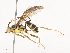  ( - CBG-A40210-F03)  @11 [ ] CreativeCommons - Attribution Share - Alike (2024) CBG Photography Group Centre for Biodiversity Genomics
