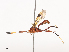  ( - CBG-A40210-F05)  @11 [ ] CreativeCommons - Attribution Share - Alike (2024) CBG Photography Group Centre for Biodiversity Genomics