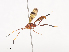  ( - CBG-A40210-F12)  @11 [ ] CreativeCommons - Attribution Share - Alike (2024) CBG Photography Group Centre for Biodiversity Genomics