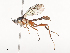  ( - CBG-A40211-A06)  @11 [ ] CreativeCommons - Attribution Share - Alike (2024) CBG Photography Group Centre for Biodiversity Genomics