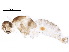  ( - BIOUG14366-H02)  @12 [ ] CreativeCommons - Attribution (2015) CBG Photography Group Centre for Biodiversity Genomics