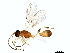  ( - BIOUG18822-B04)  @13 [ ] CreativeCommons - Attribution (2015) CBG Photography Group Centre for Biodiversity Genomics
