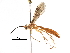  ( - BIOUG18885-A07)  @12 [ ] CreativeCommons - Attribution (2016) CBG Photography Group Centre for Biodiversity Genomics