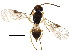  ( - BIOUG17530-B05)  @13 [ ] CreativeCommons - Attribution (2015) CBG Photography Group Centre for Biodiversity Genomics
