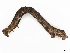  ( - CBG-A15025-H04)  @11 [ ] CreativeCommons - Attribution Share - Alike (2023) CBG Photography Group Centre for Biodiversity Genomics