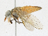  ( - CBG-A15027-C06)  @11 [ ] CreativeCommons - Attribution Share-Alike (2023) CBG Photography Group Centre for Biodiversity Genomics