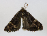  ( - CBG-A16670-A06)  @11 [ ] CreativeCommons - Attribution Share - Alike (2023) CBG Photography Group Centre for Biodiversity Genomics