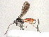  ( - BIOUG66521-E07)  @11 [ ] CreativeCommons - Attribution Share-Alike (2023) CBG Photography Group Centre for Biodiversity Genomics