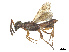  ( - BIOUG68716-H05)  @11 [ ] CreativeCommons - Attribution Share - Alike (2025) CBG Photography Group Centre for Biodiversity Genomics