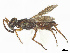  ( - BIOUG68873-H11)  @11 [ ] CreativeCommons - Attribution Share - Alike (2025) CBG Photography Group Centre for Biodiversity Genomics