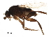  ( - BIOUG40364-D09)  @11 [ ] CreativeCommons - Attribution (2019) CBG Photography Group Centre for Biodiversity Genomics