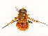 ( - CBG-A54487-F07)  @11 [ ] CreativeCommons - Attribution Share - Alike (2025) CBG Photography Group Centre for Biodiversity Genomics