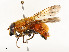  ( - CBG-A54487-F08)  @11 [ ] CreativeCommons - Attribution Share - Alike (2025) CBG Photography Group Centre for Biodiversity Genomics