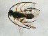  ( - BIOUG05082-B10)  @12 [ ] CreativeCommons - Attribution (2013) CBG Photography Group Centre for Biodiversity Genomics