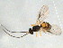  ( - BIOUG05082-G06)  @13 [ ] CreativeCommons - Attribution (2013) CBG Photography Group Centre for Biodiversity Genomics