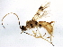  ( - BIOUG05181-G05)  @14 [ ] CreativeCommons - Attribution (2014) CBG Photography Group Centre for Biodiversity Genomics