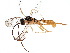  ( - BIOUG05883-C09)  @13 [ ] CreativeCommons - Attribution (2015) CBG Photography Group Centre for Biodiversity Genomics