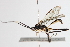  ( - BIOUG06141-B12)  @12 [ ] CreativeCommons - Attribution (2014) CBG Photography Group Centre for Biodiversity Genomics