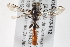  ( - BIOUG05373-E12)  @13 [ ] CreativeCommons - Attribution (2014) CBG Photography Group Centre for Biodiversity Genomics