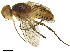  ( - BIOUG07451-G05)  @11 [ ] CreativeCommons - Attribution (2019) CBG Photography Group Centre for Biodiversity Genomics