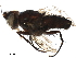  ( - BIOUG07547-B06)  @11 [ ] CreativeCommons - Attribution (2019) CBG Photography Group Centre for Biodiversity Genomics