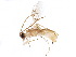  ( - BIOUG07616-F05)  @13 [ ] CreativeCommons - Attribution (2015) CBG Photography Group Centre for Biodiversity Genomics