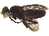  (Neuzina - BIOUG07790-F07)  @13 [ ] CreativeCommons - Attribution (2015) CBG Photography Group Centre for Biodiversity Genomics