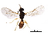  ( - BIOUG08264-D05)  @13 [ ] CreativeCommons - Attribution (2017) CBG Photography Group Centre for Biodiversity Genomics