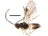  ( - BIOUG08913-B08)  @13 [ ] CreativeCommons - Attribution (2017) CBG Photography Group Centre for Biodiversity Genomics
