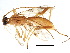  (Triraphis brianlaueri - BIOUG09430-G03)  @14 [ ] CreativeCommons - Attribution (2015) CBG Photography Group Centre for Biodiversity Genomics