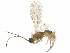 ( - BIOUG09739-D10)  @12 [ ] CreativeCommons - Attribution (2019) CBG Photography Group Centre for Biodiversity Genomics