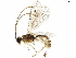  ( - BIOUG09740-B12)  @13 [ ] CreativeCommons - Attribution (2019) CBG Photography Group Centre for Biodiversity Genomics