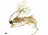  ( - BIOUG09740-D04)  @13 [ ] CreativeCommons - Attribution (2019) CBG Photography Group Centre for Biodiversity Genomics