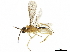  ( - BIOUG10017-C03)  @13 [ ] CreativeCommons - Attribution (2019) CBG Photography Group Centre for Biodiversity Genomics